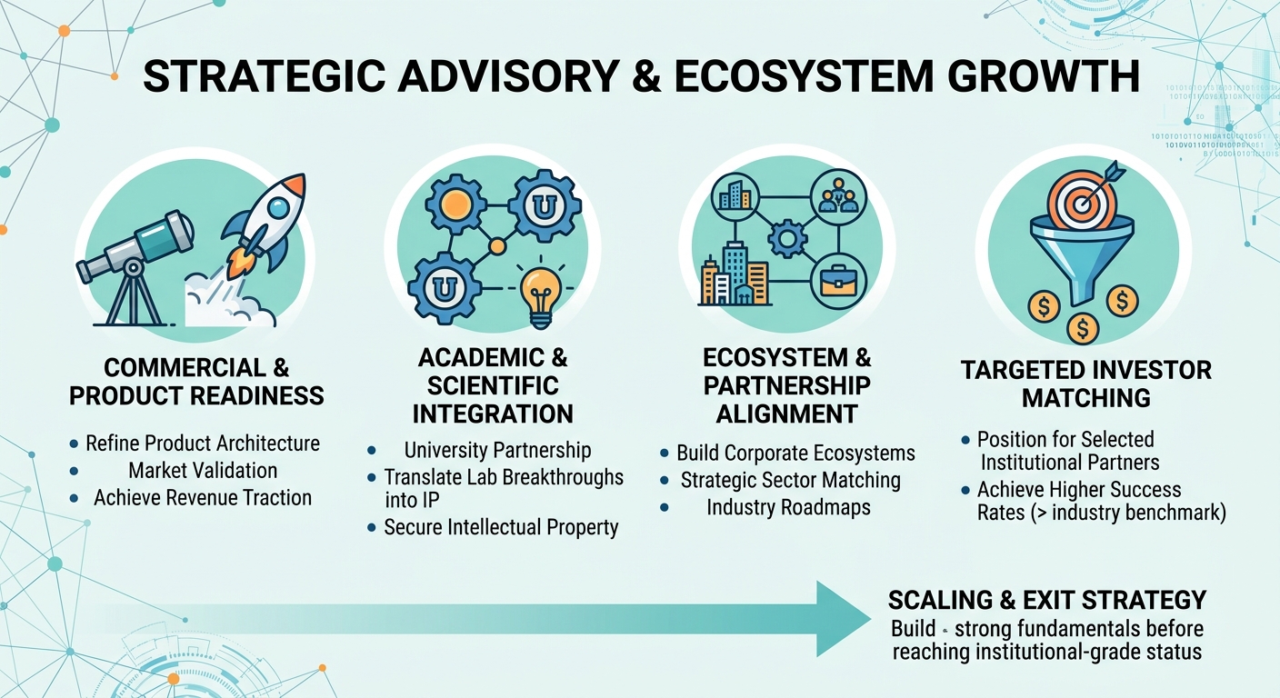 Strategic Advisory Beyond Traditional Venture Capital for Scale-Ups and Research Spin-Outs Australia